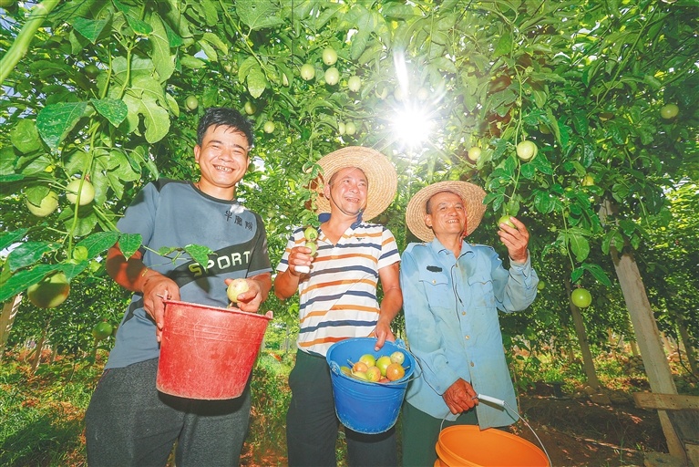 海南:瓜果飘香惠百姓