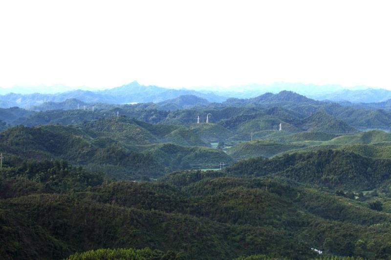 綠水青山江西吉安縣推進林業生態建設托起兩山夢