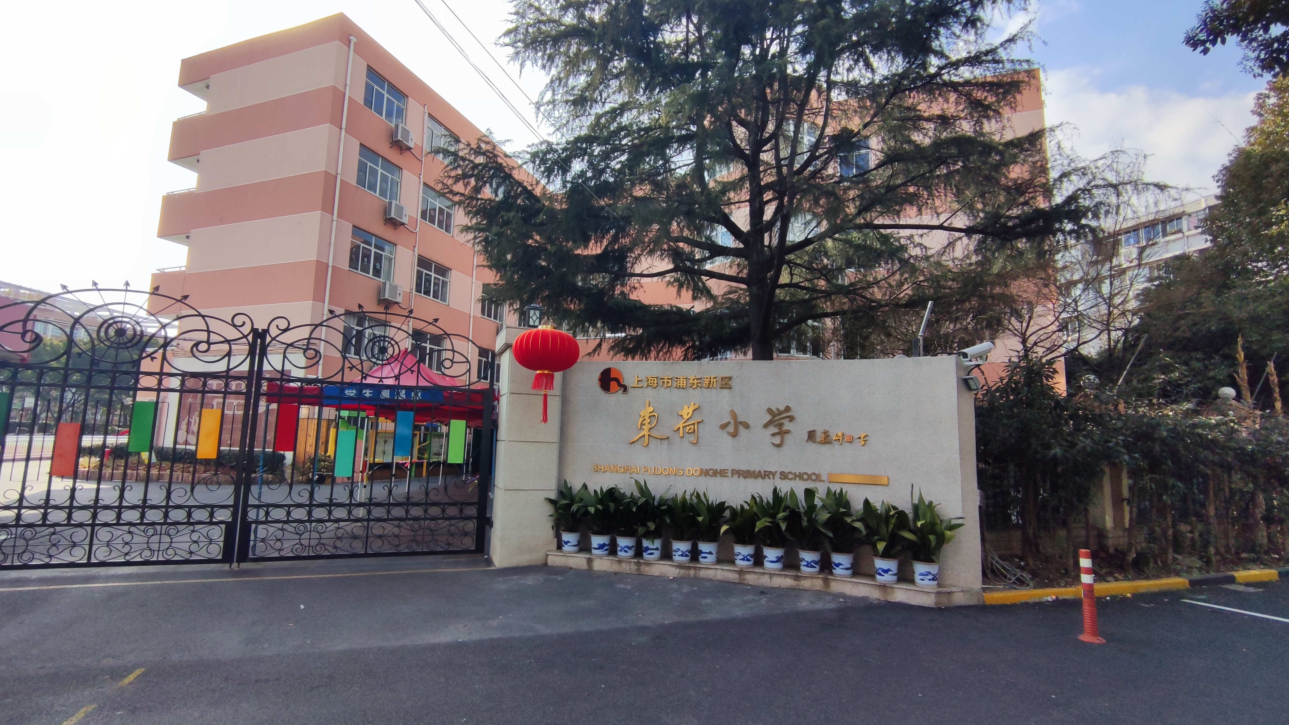 【每日校训】上海市浦东新区东荷小学校训:立德,笃实