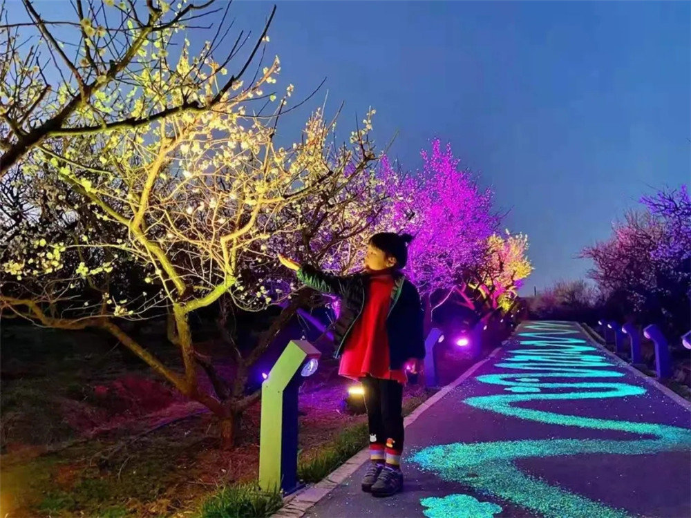 2021溧水梅花节开幕式暨夜梅亮灯仪式在傅家边科技园梅花广场举行.