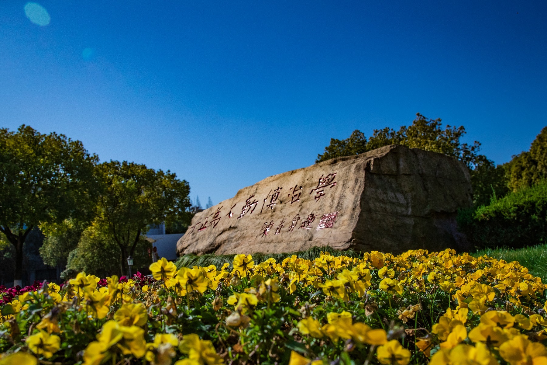 云赏浙江高校春色丨嘉兴学院:春风又绿江南岸,一嘉春色待我还