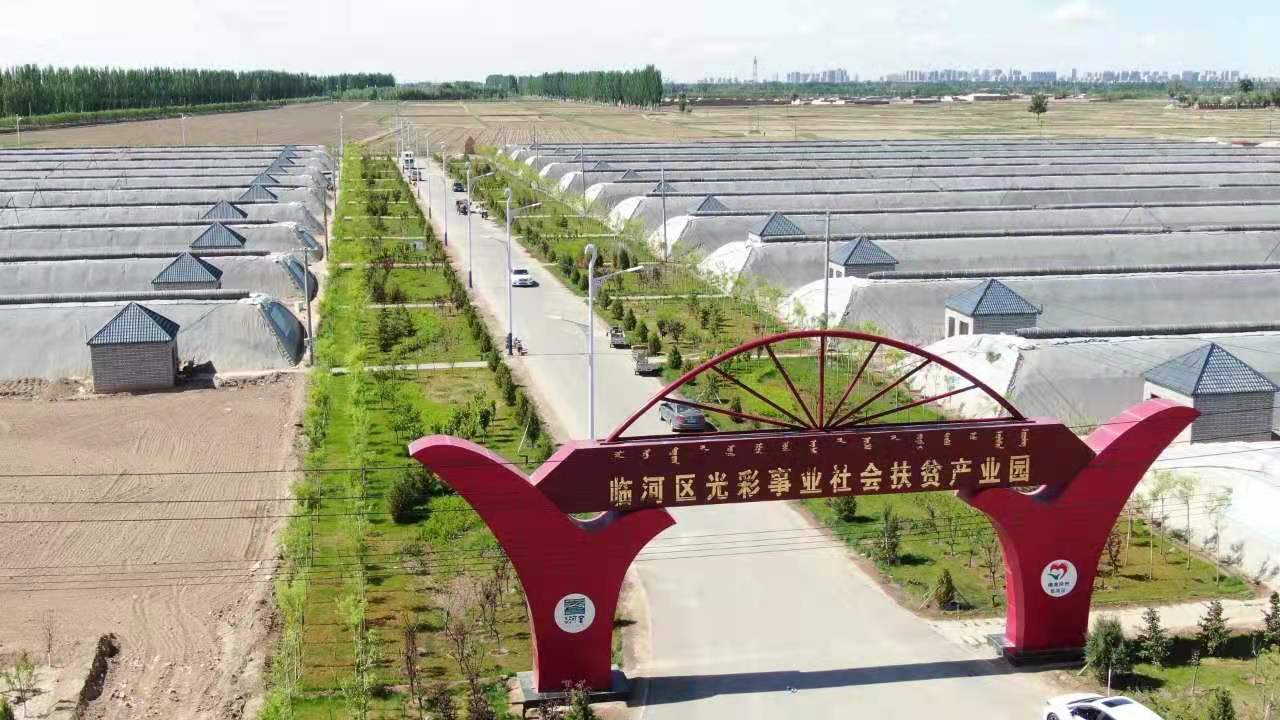 临河区光彩事业社会扶贫产业园.(摄影:杨永旺)万亩小麦连片种植基地.