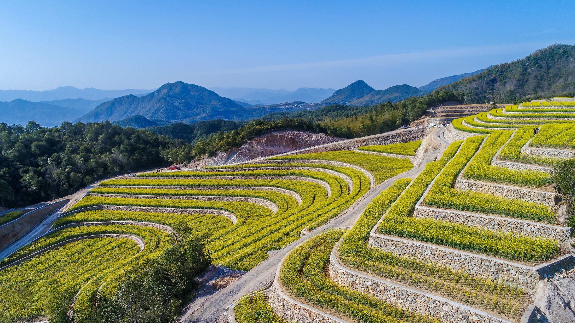 梯田花海在哪里图片