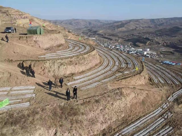 【区县新闻】天水秦安魏店镇:集中整治耕地撂荒加快推进乡村振兴