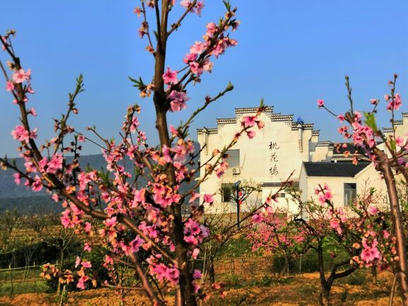 马鞍山生态价值转化给乡村经济发展注入新动能