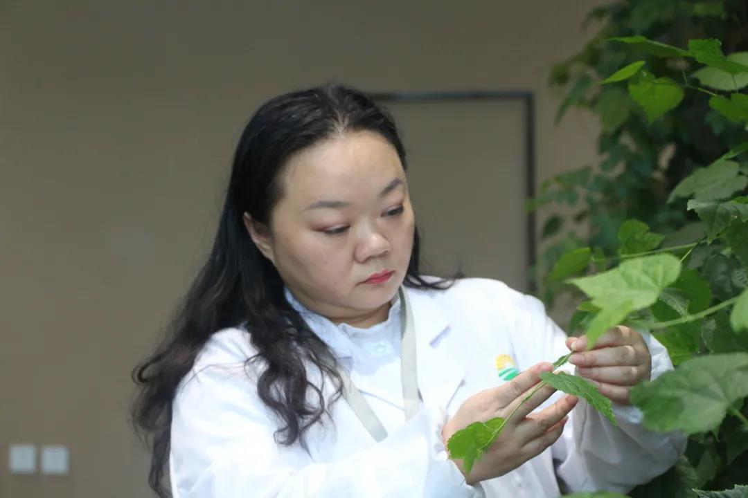 “学习强国”学习平台