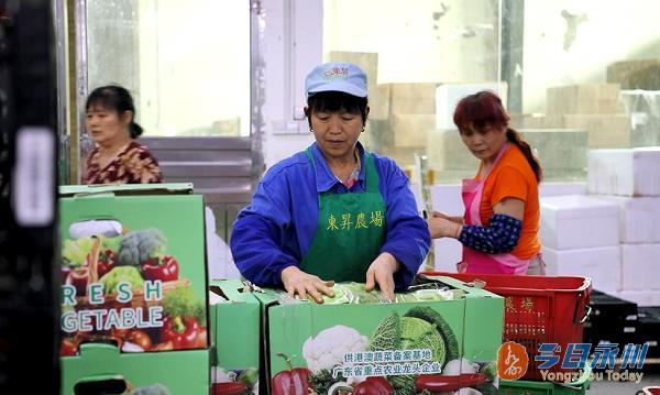 湖南新田：5万余名群众走在“硒”望的田野上