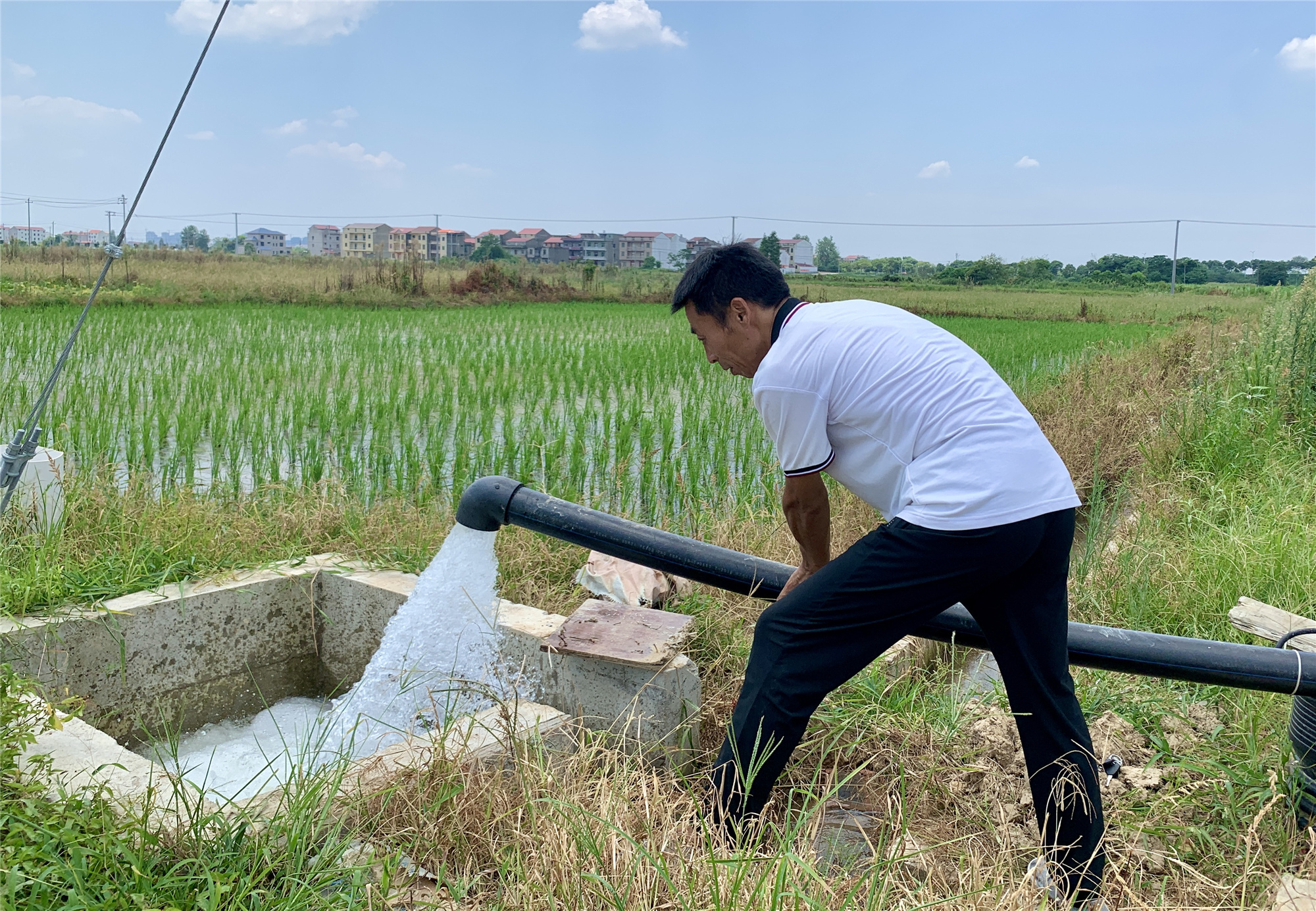 村党支部书记雷良波打开电闸抽水灌溉农田