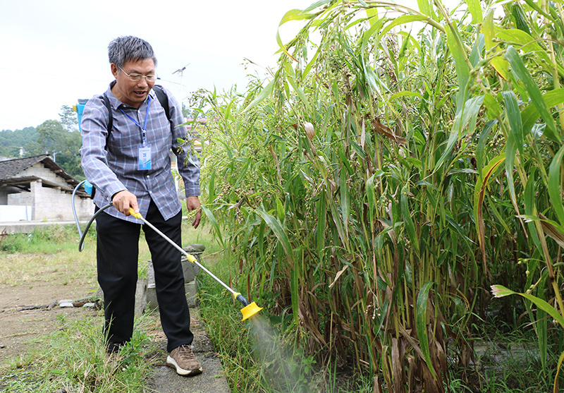 "这是在兴仁市民族职业技术学校在巴铃镇大普村进行农作物植保员培训