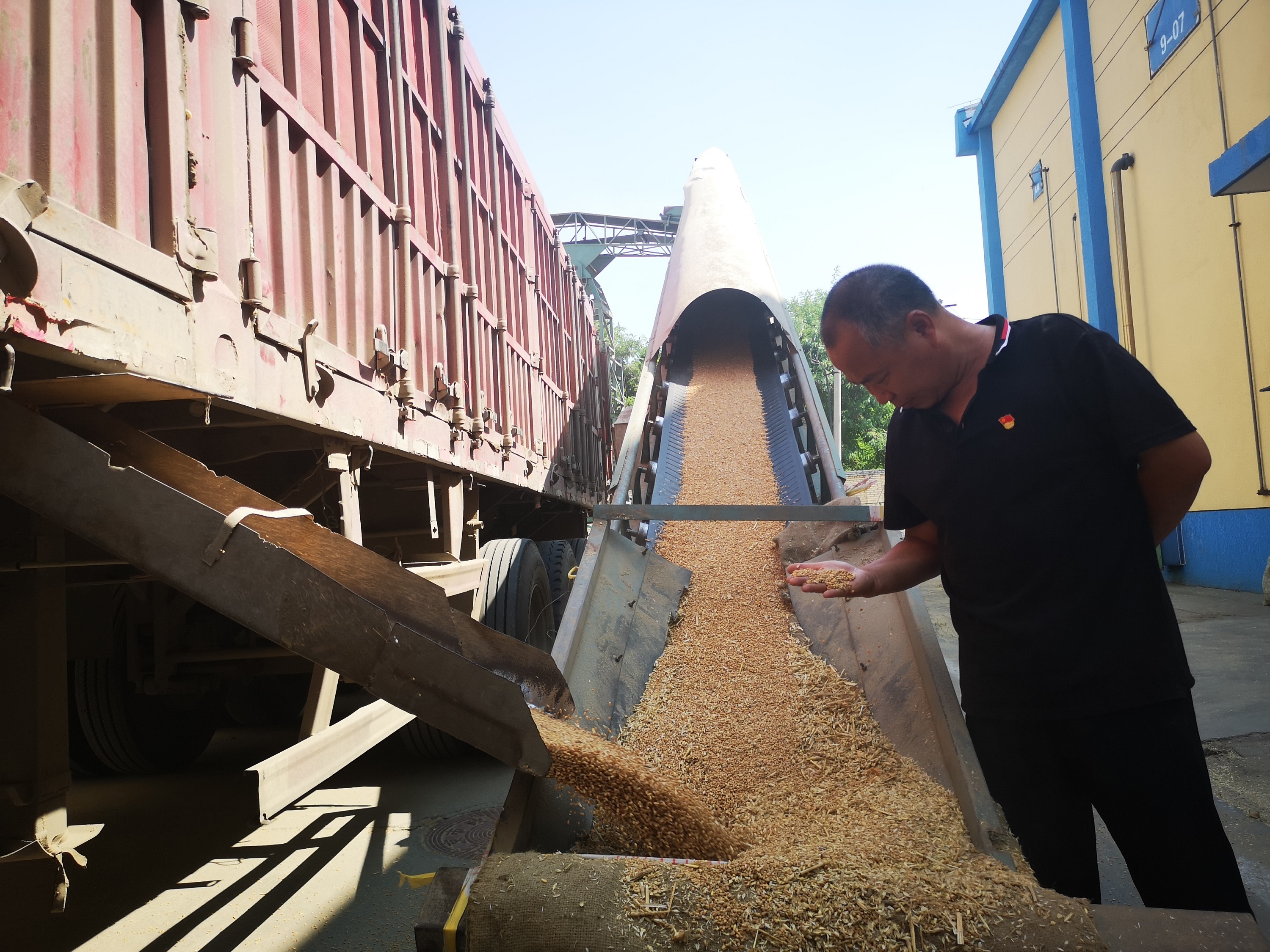 首农食品集团智慧粮库保障米袋子安全