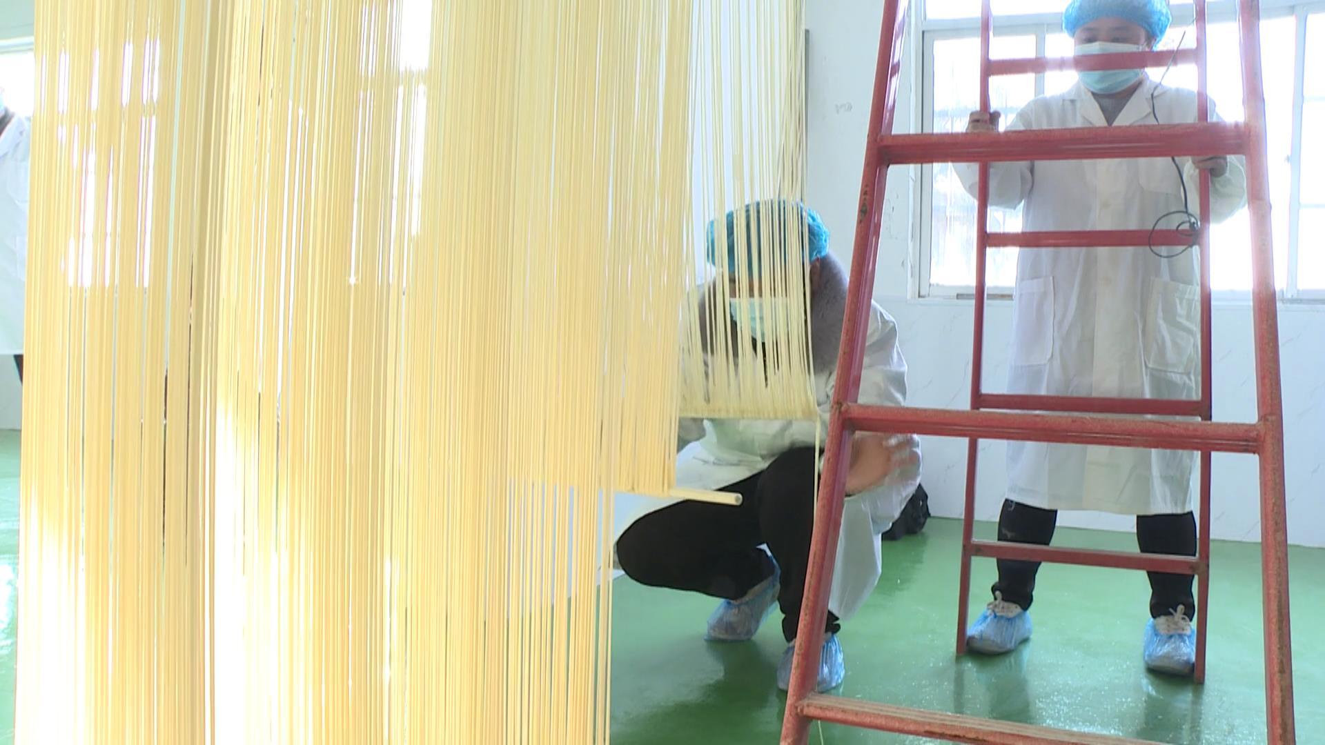 村民们正在制作挂面（本文图片由蒲城县融媒体中心提供）