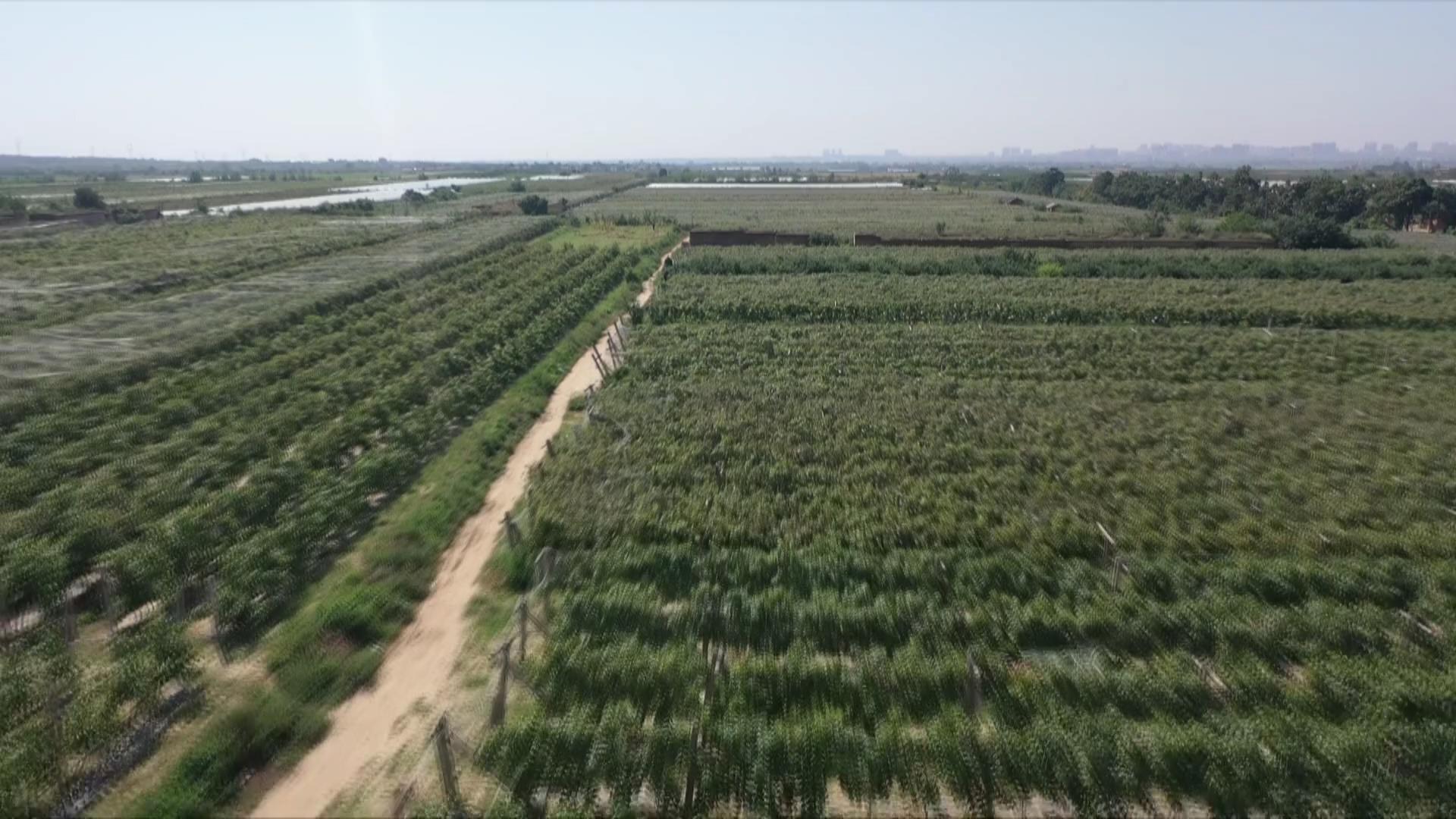 蒲城县尧山镇