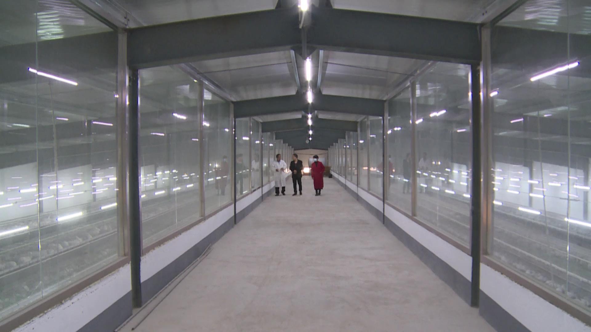 同富兔业建成的高标准全自动化养兔车间