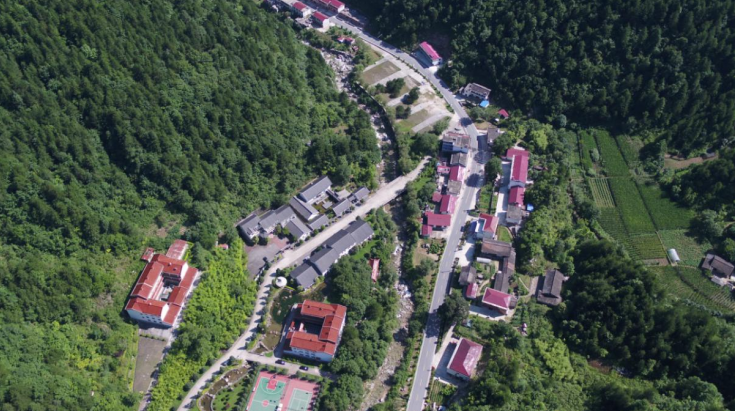 桂林村鸟瞰图