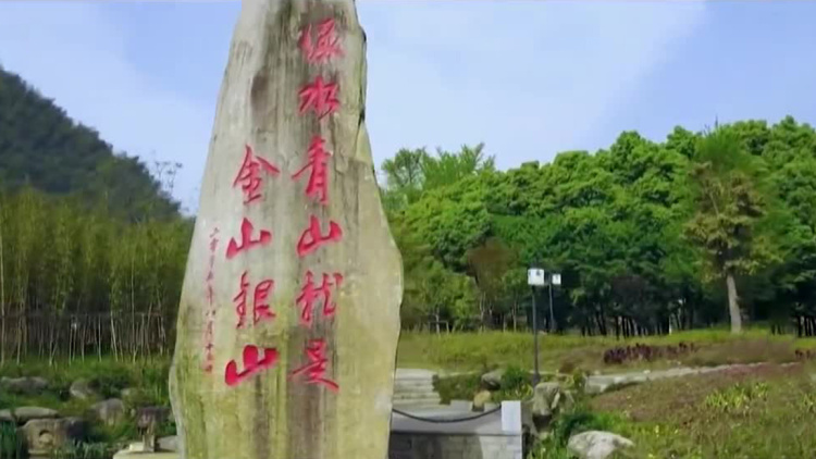 春风又绿江南岸——总书记的浙江行