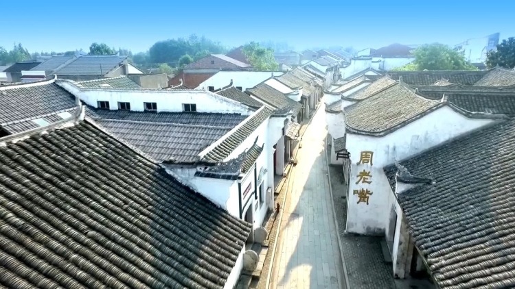 监利县周老嘴:传承红色基因,绿色发展焕新姿