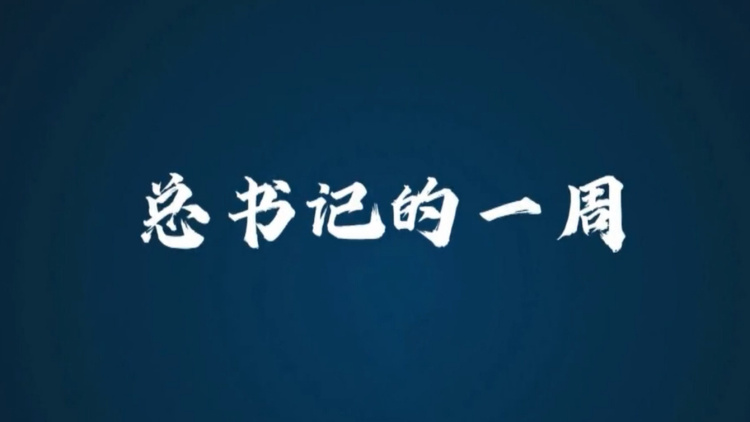 总书记的一周（3月30日—4月5日）