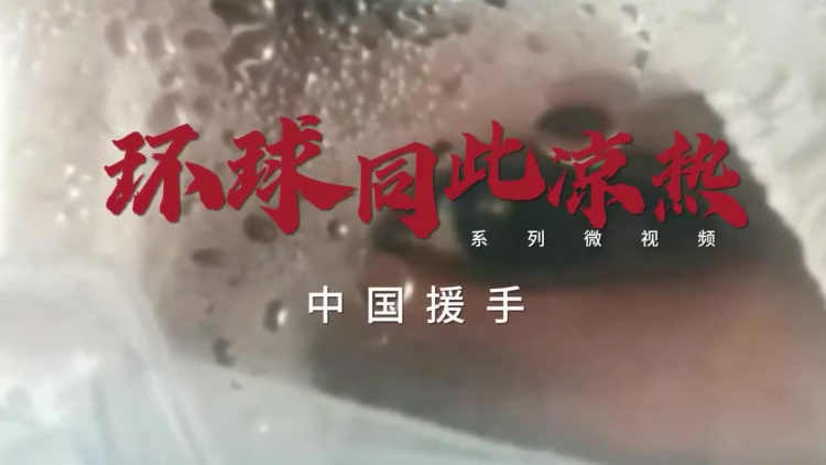 环球同此凉热——中国援手