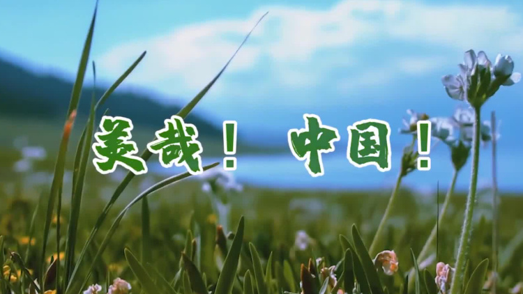 美哉！中国！