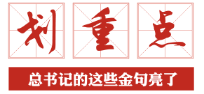 青年大学习·两会时刻：脱真贫、真脱贫