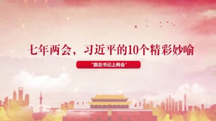 回顾七年两会，习近平的十个精彩妙喻