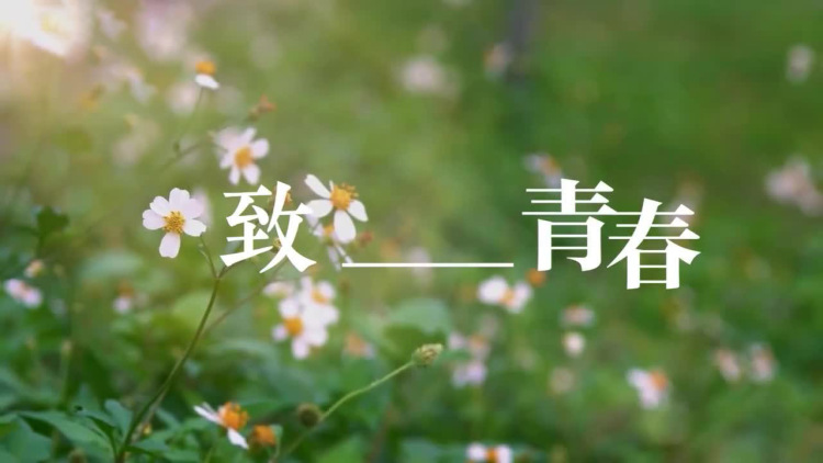 致_____青春
