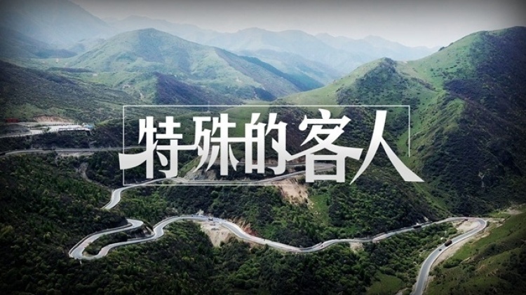 特殊的客人
