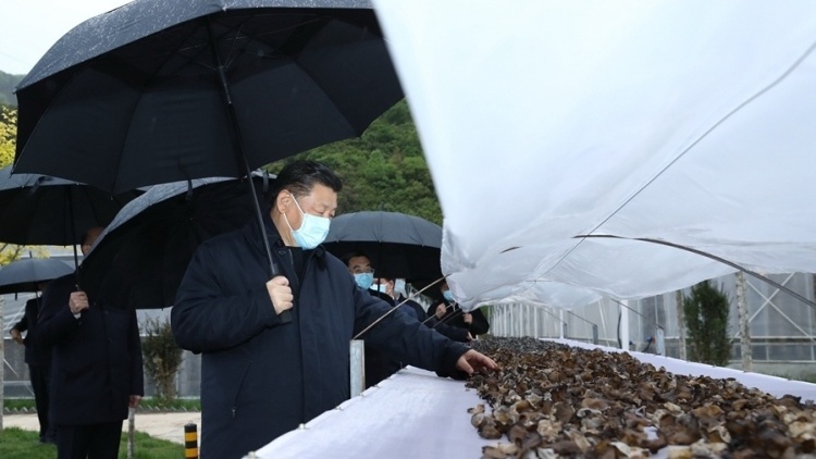 为了父老乡亲——习近平总书记陕西看脱贫