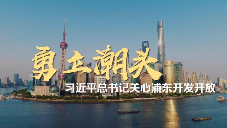 勇立潮头——习近平总书记关心浦东开发开放