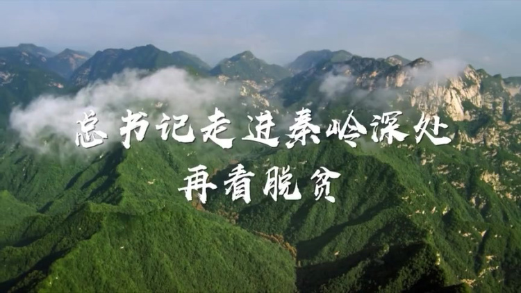 一路走来，始终关切，秦岭深处感受总书记人民情怀