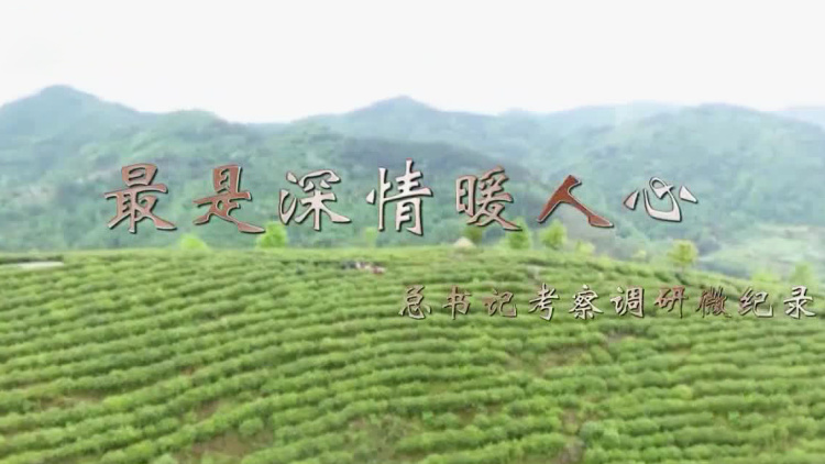 最是深情暖人心