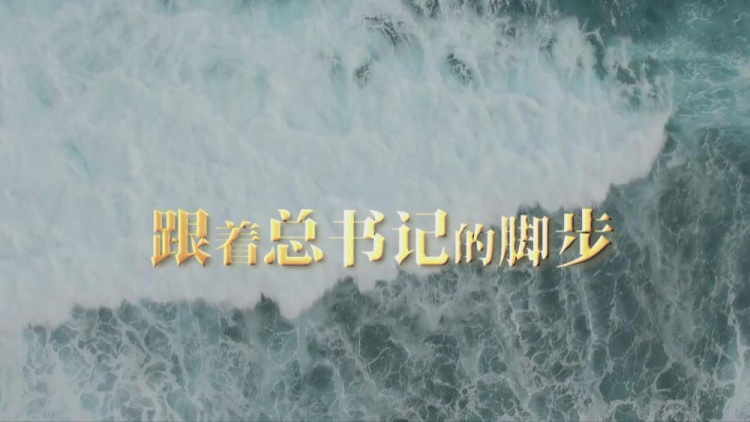 跟着总书记的脚步