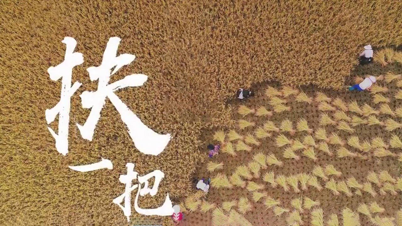 扶一把