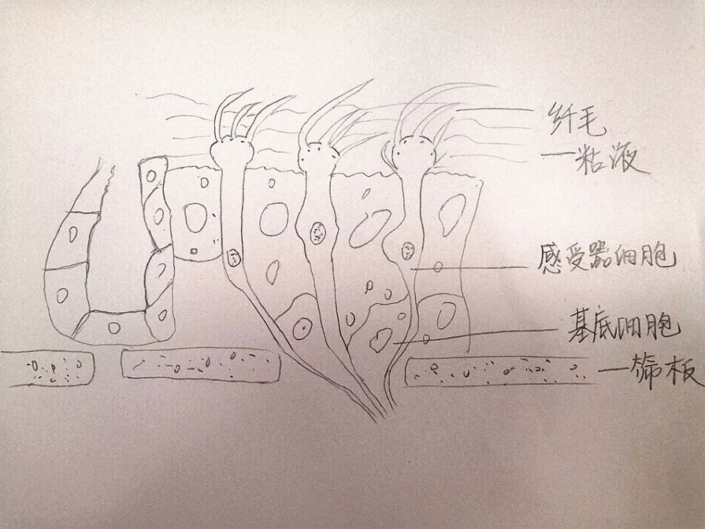“学习强国”学习平台