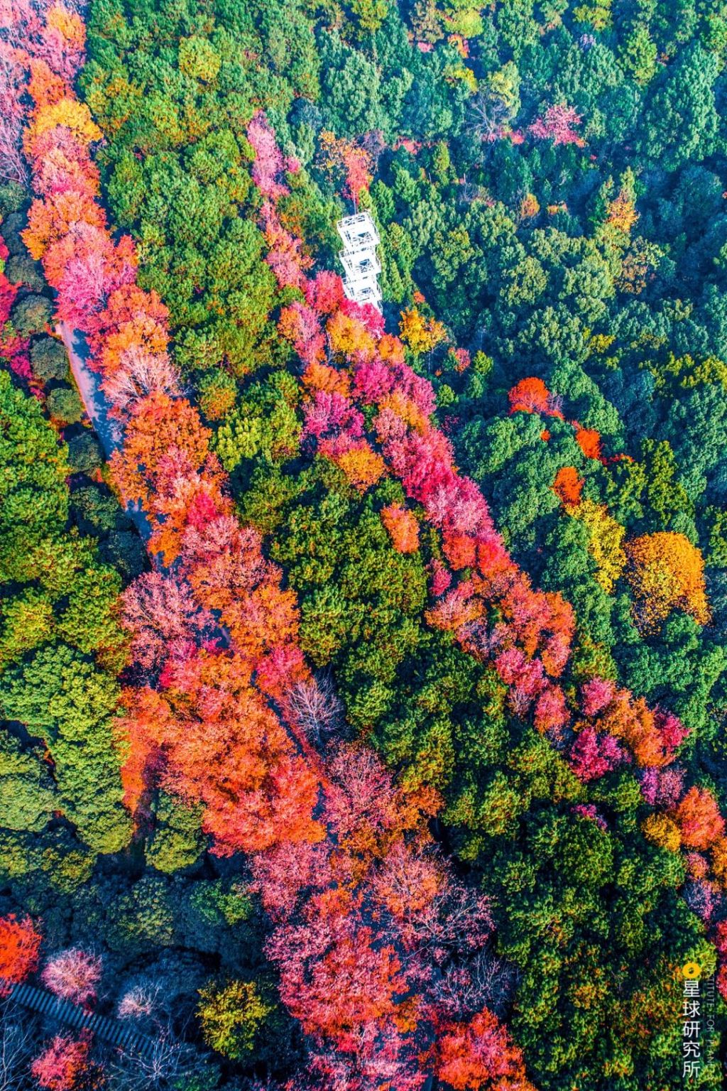 湖南长沙,是座什么样的城市?
