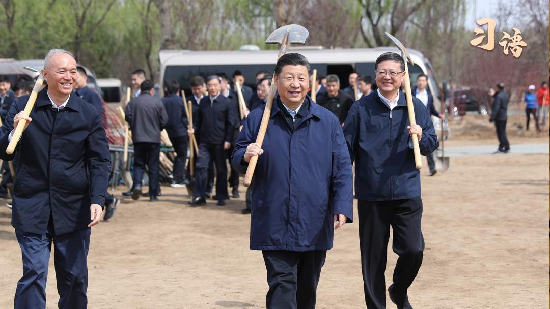 “以后经常来种树！”
