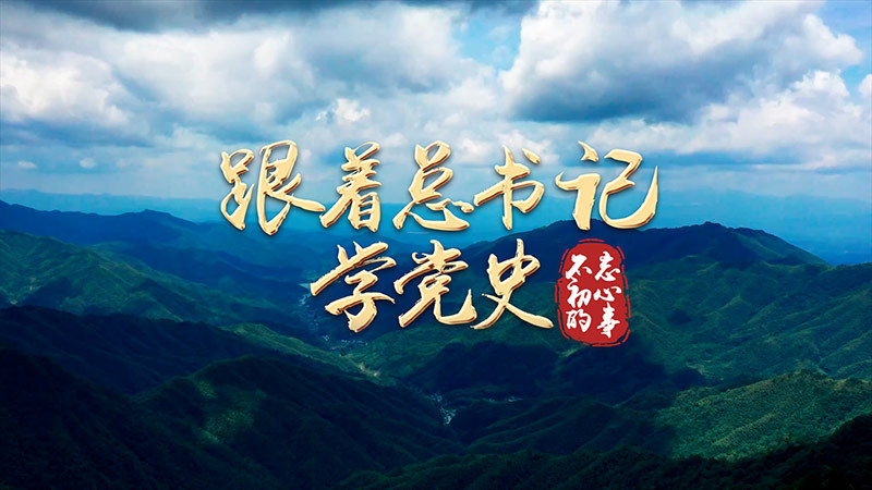 跟着总书记学党史