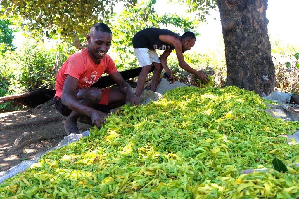 进博透视：共享机遇 共创未来——进博会与“一带一路”相得益彰共促发展(图4)