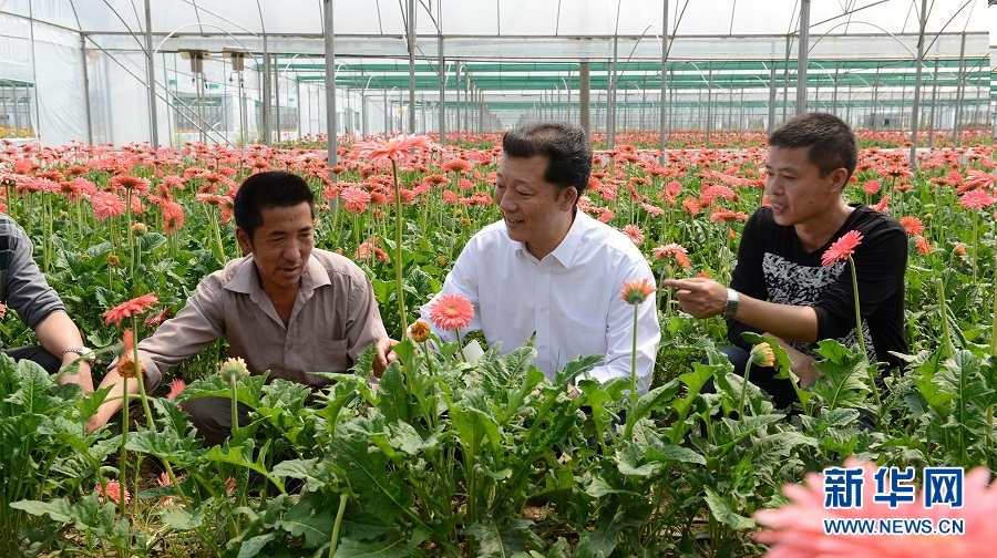 这座亭名为"思波亭",是南平原市委常委,常务副市长廖俊波因公牺牲的
