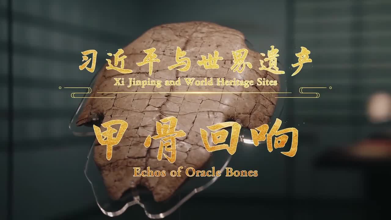 习近平与世界遗产：甲骨回响