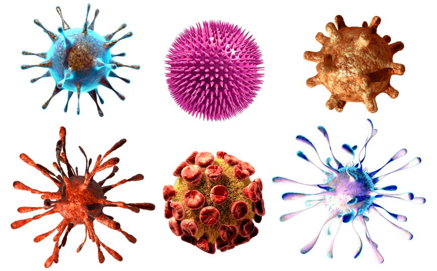 转载病毒与人类的战争下人类守望者