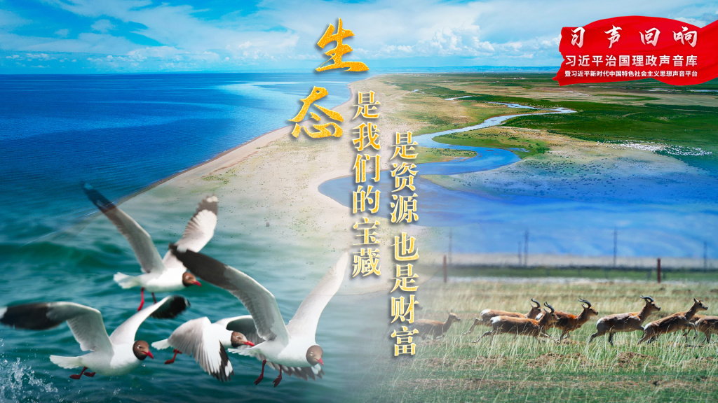 生态是我们的宝藏，是资源，也是财富