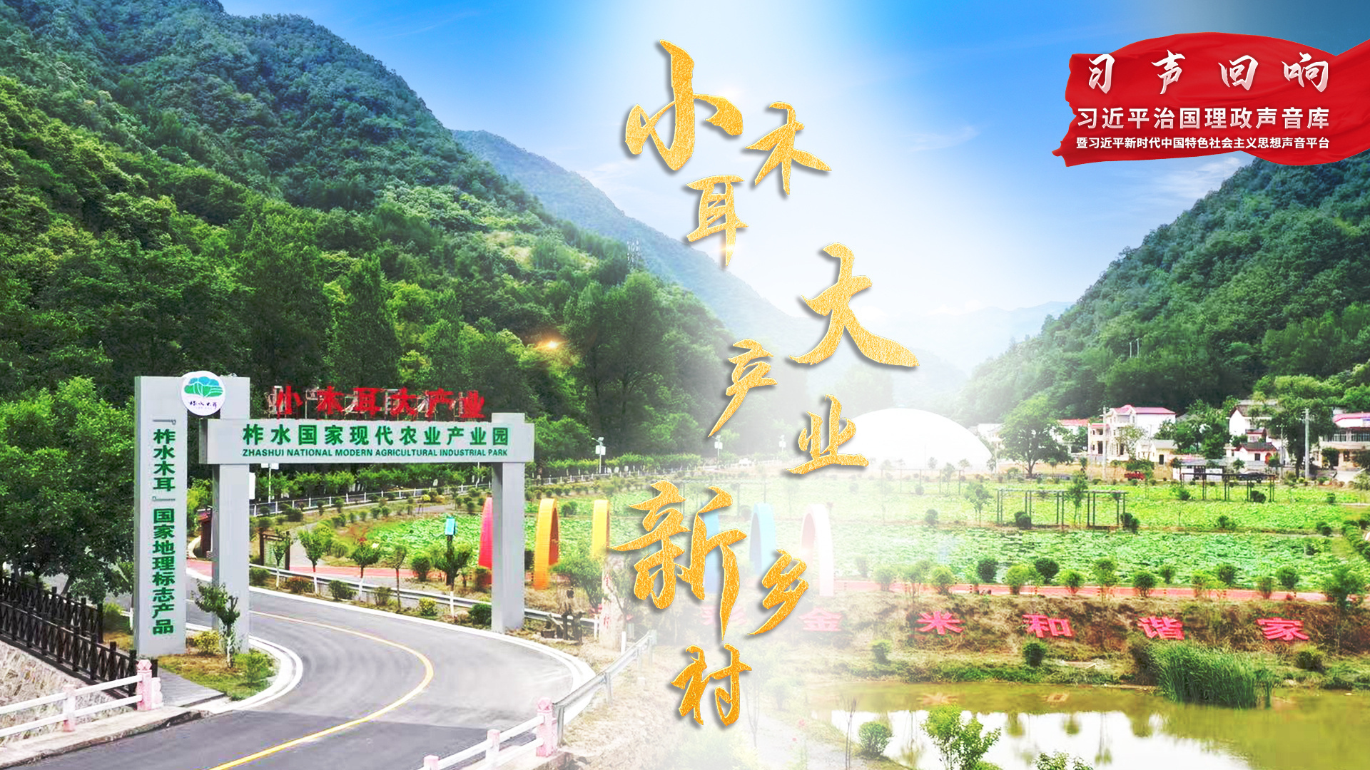 小木耳 大产业 新乡村