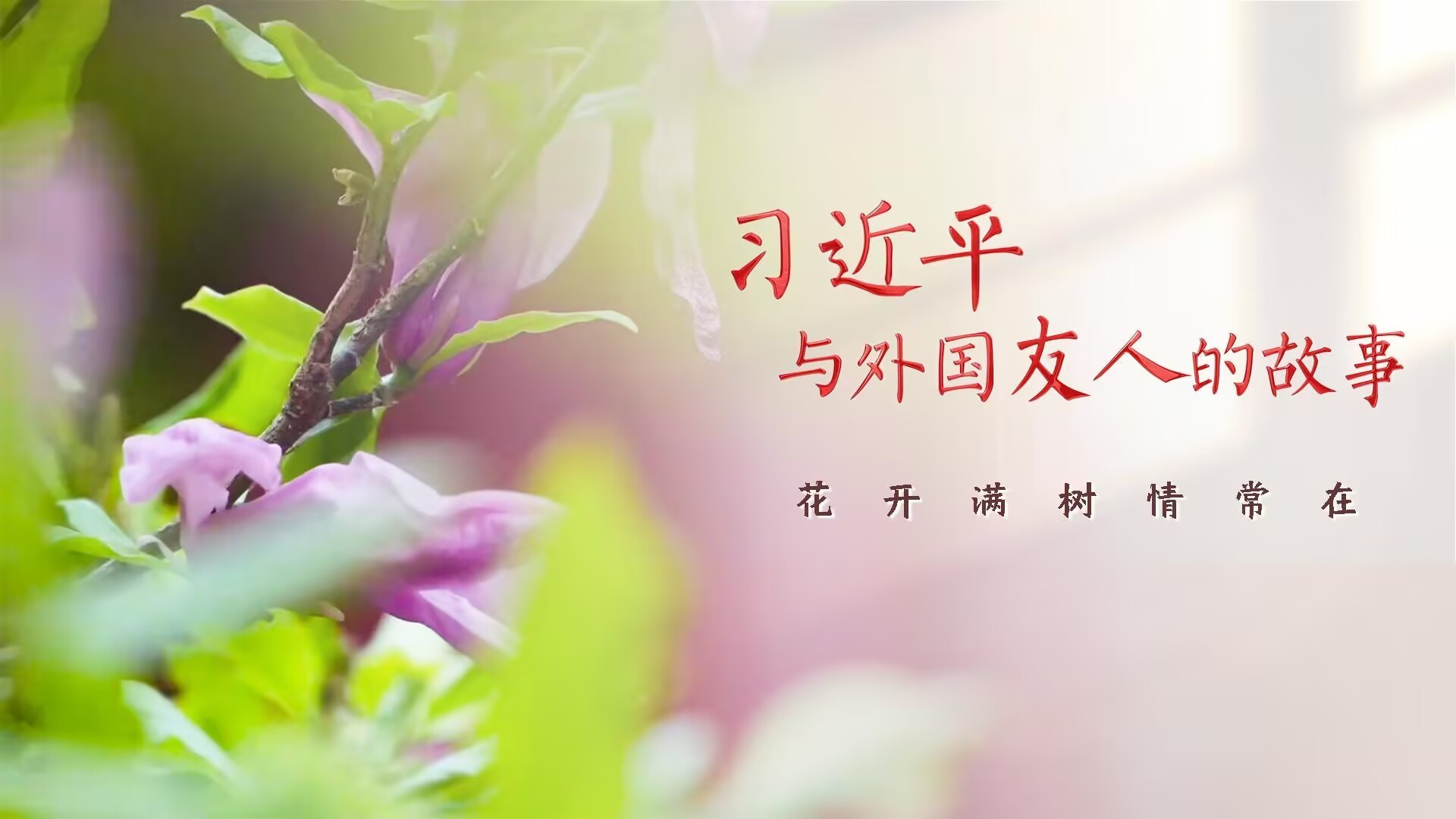 习近平与外国友人的故事｜花开满树情常在