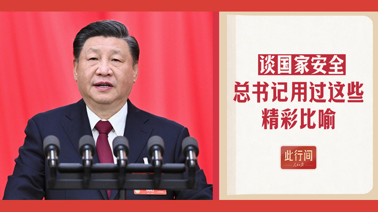 谈国家安全，总书记用过这些精彩比喻