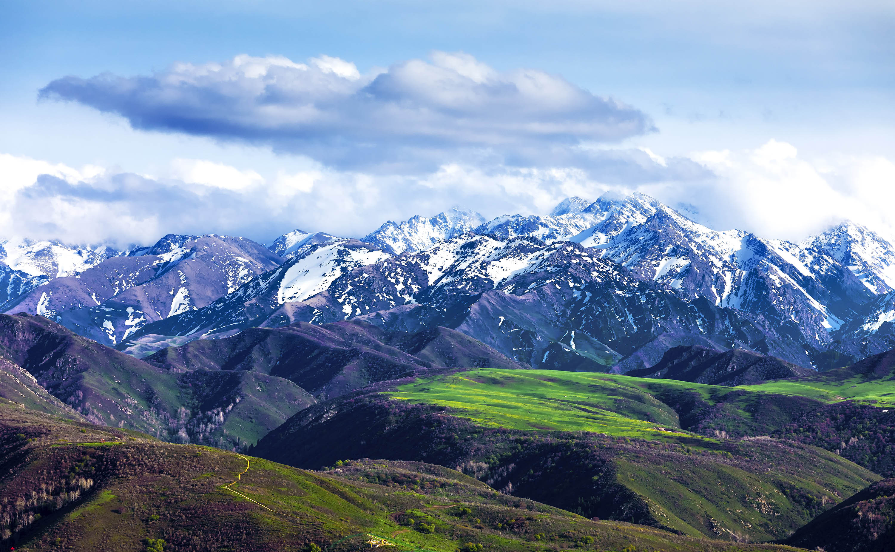 新疆塔城:雪山下的牧场