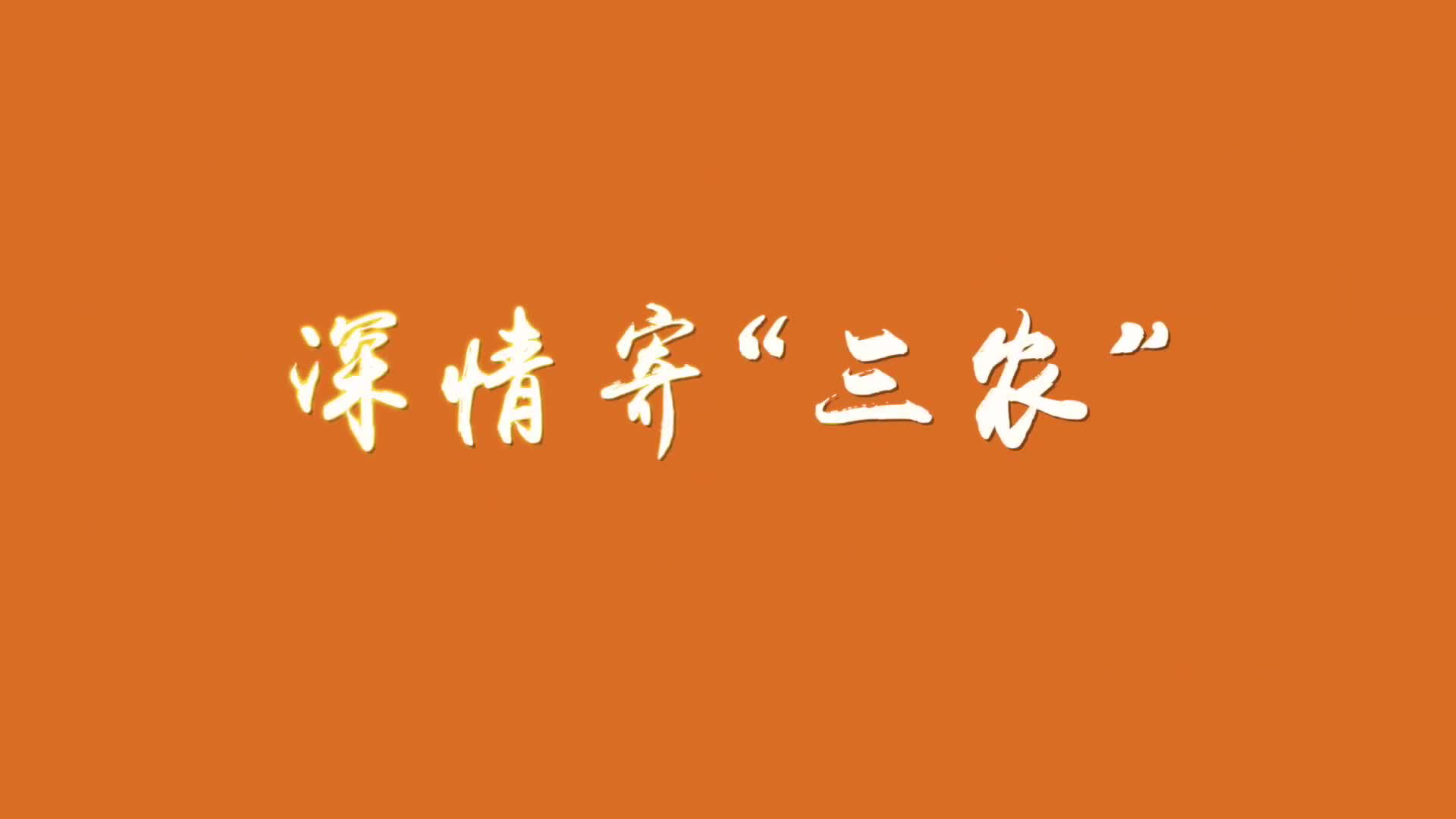 深情寄“三农”