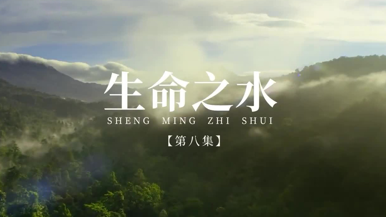生命之水——跟着总书记一起建设美丽中国