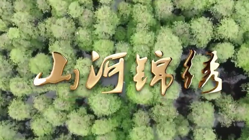 山河锦绣