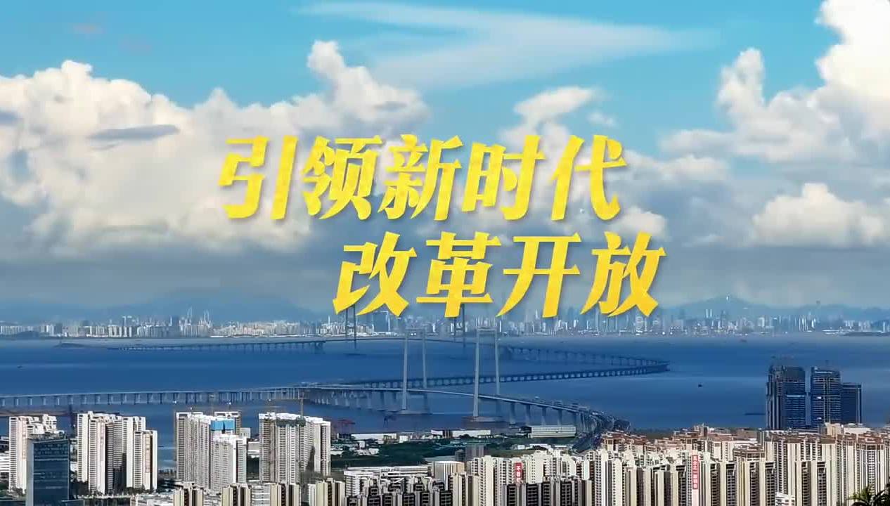 引领新时代改革开放